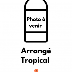 Arrangé Tropical