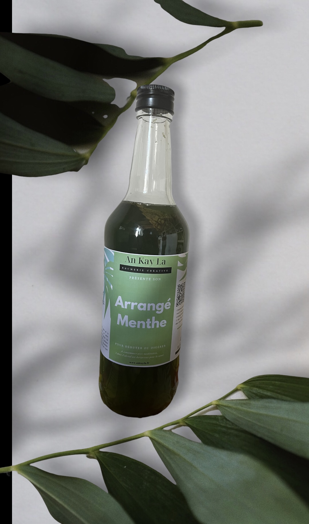 Arrangé Menthe – Image 6