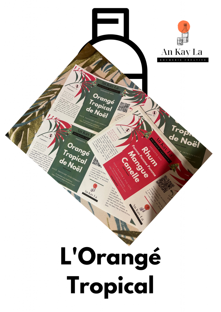 Arrangé de Noël : L'Orangé Tropical